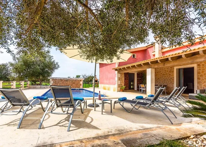 Cuixa Santa Margarita (Mallorca)