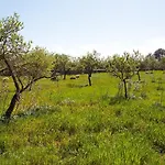 Cuixa